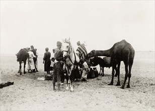 Travellers in the Negev Desert. A group of travellers attend to their horses as they journey
