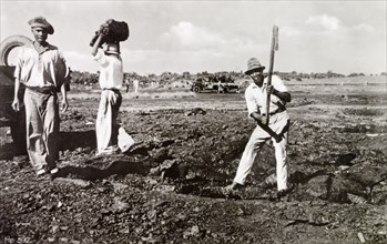 Extracting asphalt from the Pitch Lake. A labourer uses a pickaxe to extract lumps of asphalt from