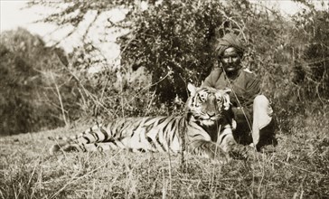 Indian 'shikari' posing beside tiger carcass. An Indian 'shikari' (professional hunter) poses