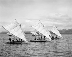 Druas' off the coastline of Fiji. A flotilla of at least ten 'druas' (Fijian catamarans) sails off
