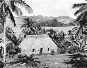 A traditional Fijian 'bure'. A traditional Fijian 'bure' (dwelling) sits amongst palm trees at the