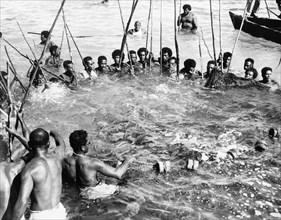 A Fijian fish drive. A large group of men holding long sticks stand in a circle, up to their necks