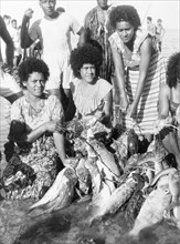 Fruits of a fish drive. A group of Fijian women display a catch of at least twenty multi-coloured