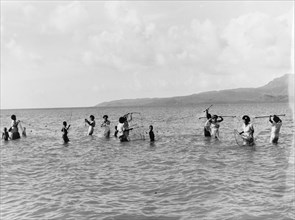 Women and children fishing in Fiji. A group of Fijian womena and children stand thigh deep in water
