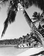 A beached boat, Fiji. A small motor boat lies stricken on a sandy beach, after having its ?bottom