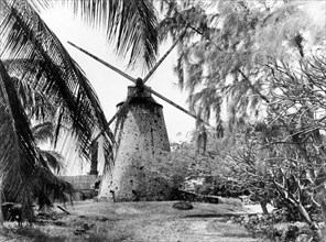 A sugar windmill, Barbados. A windmill without sails remains standing at a derelict sugar mill, one
