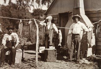 The day's fishing catch. Three men gaze proudly at a selection of exotic fish hanging on a line,