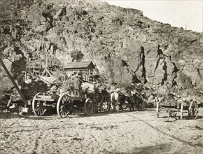 Outside Red Cloud gold mine. A team of donkeys and horses wait, harnessed to an empty cart, at Red