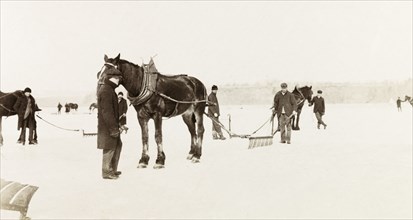 Ice cutters, Canada. A team of ice cutters prepare to use a horse-drawn ice saw to remove ice from