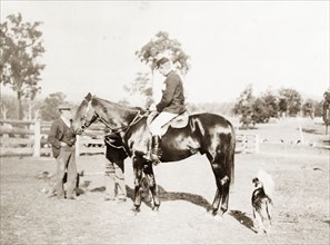Mounted policeman, New South Wales. Profile shot of a mounted officer of the New South Wales Police