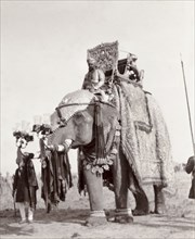 Caparisoned state elephant of Alwar. The caparisoned state elephant of Alwar carries an ornate