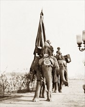 Flag bearers at Coronation Durbar, 1903. An Indian flag bearer for Jaipur State rides a caparisoned