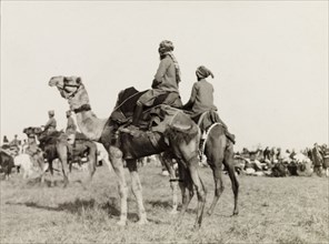 Camel riders at Coronation Durbar, 1903. Guests mounted on camels at Edward VII's Coronation Durbar