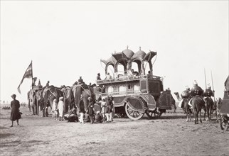 Alwar State procession at Coronation Durbar, 1903. A team of caparisoned elephants pull Alwar