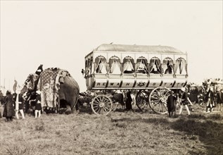 Rewah State's ceremonial carriage. A caparisoned elephant pulls Rewah State's large, ceremonial