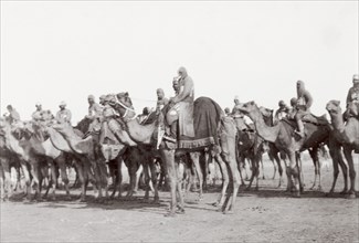 Bikaner Camel Corps at Coronation Durbar, 1903. A regiment of the Bikaner Camel Corps, mounted and