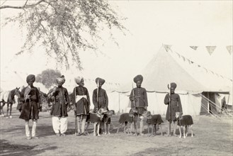 Falconers and coursers at Coronation Durbar, 1903. Indian falconers and coursers line up for a
