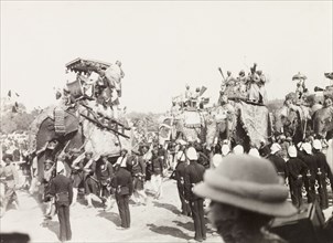 Procession of elephants at Coronation Durbar, 1903. A procession of caparisoned elephants bearing