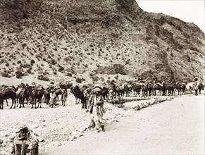Caravan of camels on Khyber Pass. A caravan of camels travel along the Khyber Pass. An original