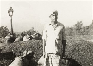 Manager of a coffee plantation. The manager of a coffee plantation stands posing beside a large