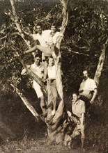 Picnicking at Baruipur. A group of male and female friends pose playfully in a tree during a picnic