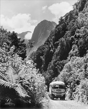 A bus at Milford Sound . A bus travels along a dirt road flanked by dense vegetation at Milford