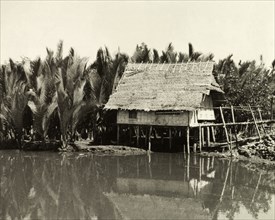 Stilted building near a palm oil plantation. A stilted building projects from a shallow river near