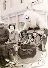 Sleigh ride with a polar bear, Switzerland. A group of British tourists pose with a performer in
