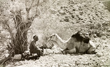 Rest stop in Al-Masfara. An Arab man sits opposite his kneeling camel, taking the weight off his