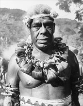 Portrait of a Fijian chief. Head and shoulders portrait of a Fijian chief wearing ceremonial