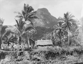 Returning home, Fiji. A line of people return home to their traditional Fijian 'bures' (dwellings),