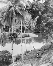 A river jetty on Vanua Levu. A makeshift jetty forms the only access to the village of Daria on the