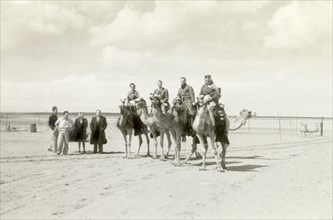 Riding camels in a desert compound. Three Europeans and their Arab guide ride camels in a desert