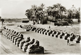 Ram-headed sphinxes at Karnak. An avenue of ram-headed sphinxes guard the entrance to the Karnak