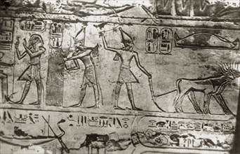 Relief carving on an Ancient Egyptian tomb. Close-up shot of a relief carving on an Ancient