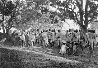 Pig-sticking near Delhi, 1934. A large group of Indian hunters gathers in a forest clearing on a