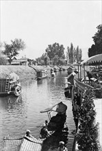 Shikaras on a Srinagar canal. Several shikaras (houseboats) are moored along the banks of a