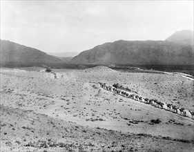 Camel convoy at the entrance to the Khyber Pass. A camel convoy winds its way through the desert