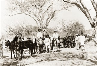 Travelling with a train of mules, Kenya. A party of Arab men wearing turbans and fezes lead a train