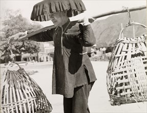 Transporting chickens in Hong Kong. A Chinese woman carries chickens in baskets hung from a pole
