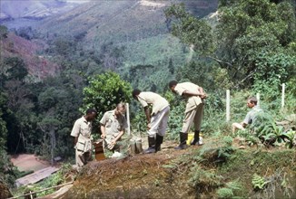 Testing the water at a forest nursery. Dressed in khaki uniforms and wellington boots, District