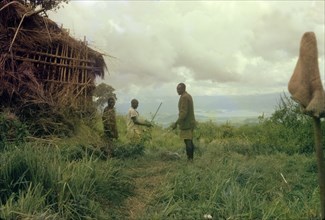 A deserted poacher's hut. Three Ugandan Forest Guards investigate a deserted poacher's hut whilst