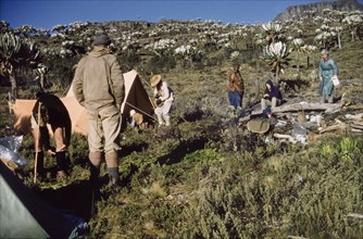 Mount Elgon camp 2'. Members of the Uganda Mountain Club set up camp at an altitude of 12,000 feet