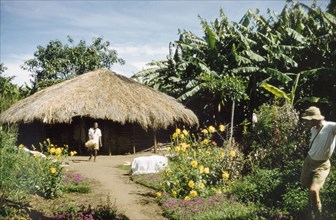 Thatched hut in Toro. A circular hut with a thatched roof backs onto a banana shamba near Fort
