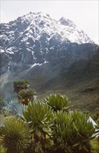 Mount Baker from Bukuju camp. View of Mount Baker in the Rwenzori (Ruwenzori) Mountains, taken from
