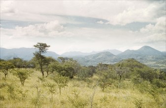 The Morongole bush. View south west from Morongole, north Karamoja, looking towards the