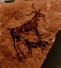 Stone Age rock painting of a goat and calf, possibly from the Cattle Period (4,000   2,000 BC)
