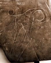 Stone Age rock engraving of a giraffe, possibly from the Bubalus Period (6,000   4,000 BC)