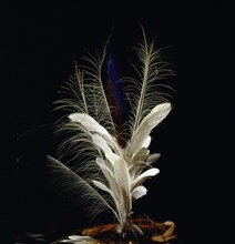Headdress made of mostly white feathers from white birds of the Amazon