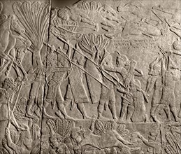 A detail of a stone relief from the palace of Ashurbanipal depicting the battle of Til Tuba, 653 BC